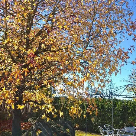Casa Raposeira Hébergement de vacances