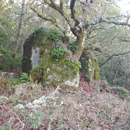 Casa Raposeira 度假居 *