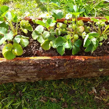 Casa Raposeira أورينس