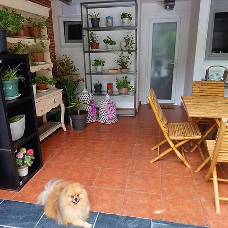 Casa Raposeira بيت للعطل