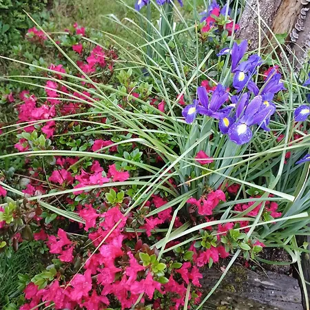 Casa Raposeira 度假居 *