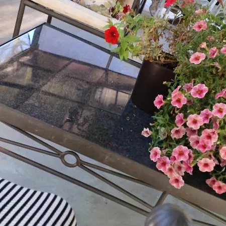 Casa Raposeira Holiday home