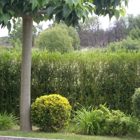 Casa Raposeira بيت للعطل