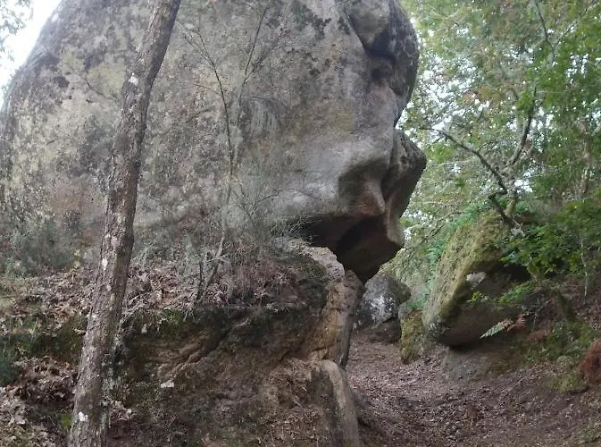 Casa Raposeira בית נופש