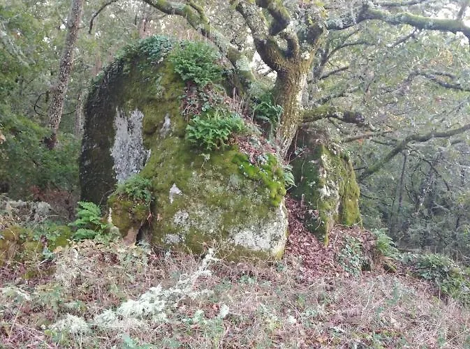 Casa Raposeira בית נופש *