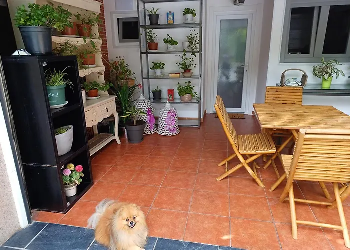 Casa Raposeira בית נופש