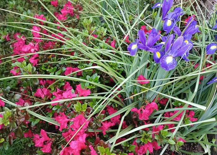 Casa Raposeira בית נופש *